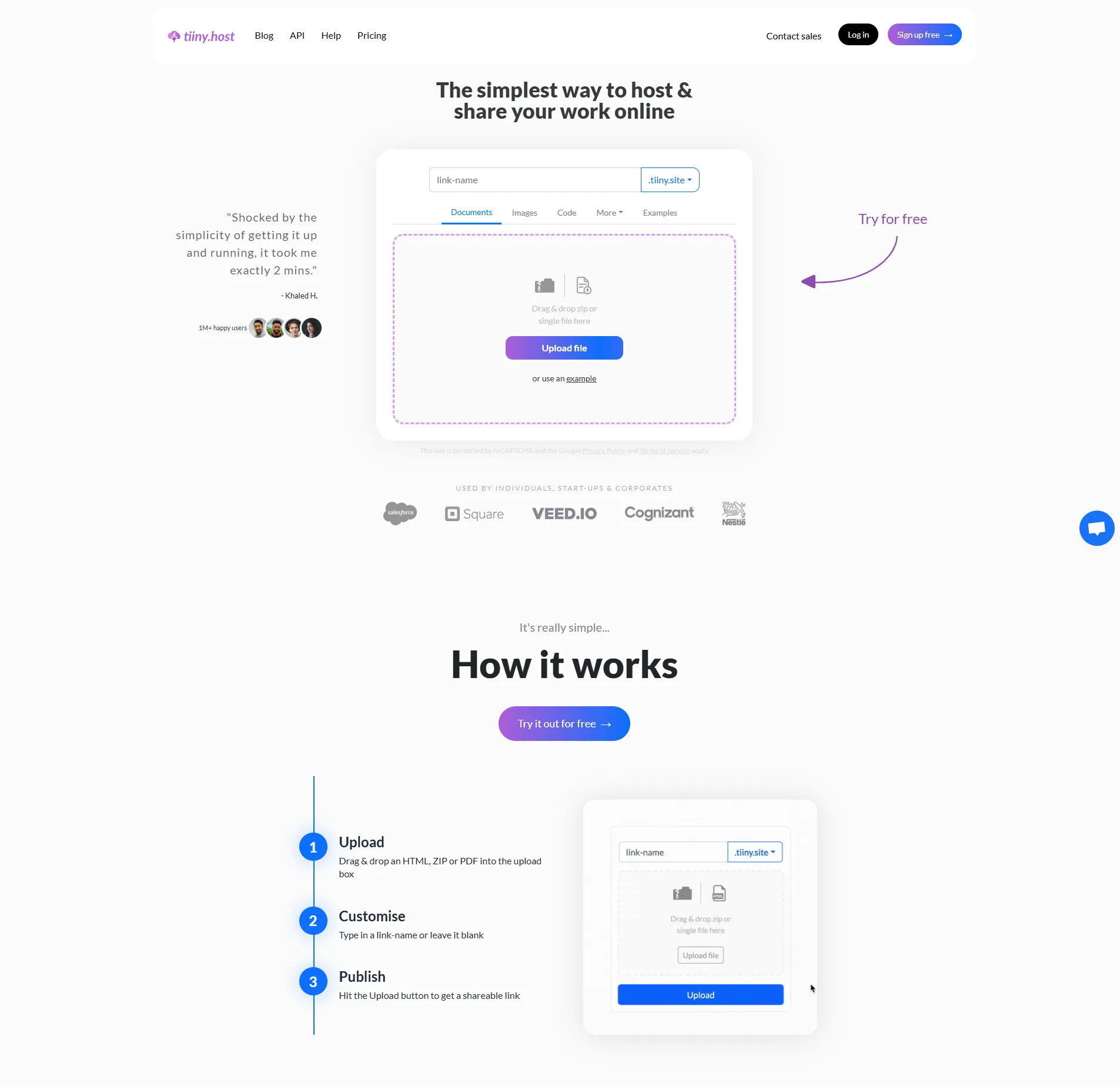 A screenshot of the Tiiny Host landing page.
